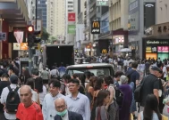 在香港市场反弹之际探讨强积金评级